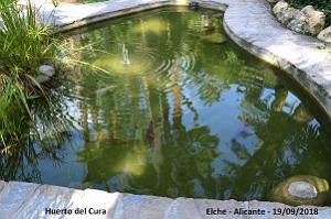 19 ELCHE HUERTO DEL CURA (32)